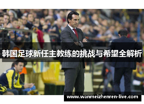 韩国足球新任主教练的挑战与希望全解析