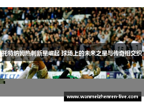 托特纳姆热刺新星崛起 球场上的未来之星与传奇相交织