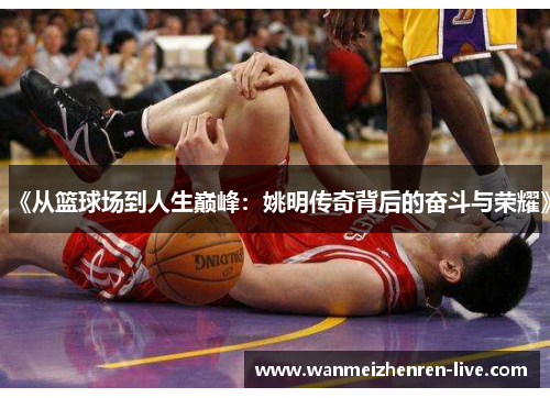 《从篮球场到人生巅峰：姚明传奇背后的奋斗与荣耀》