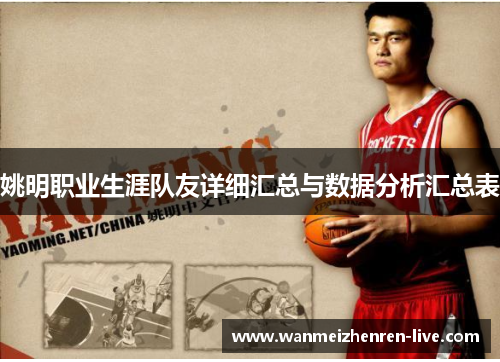 姚明职业生涯队友详细汇总与数据分析汇总表