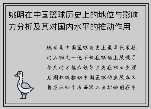 姚明在中国篮球历史上的地位与影响力分析及其对国内水平的推动作用