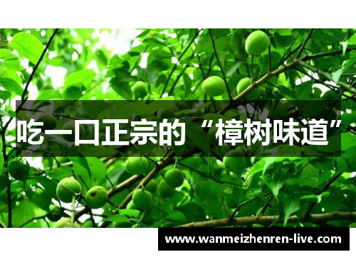 吃一口正宗的“樟树味道”
